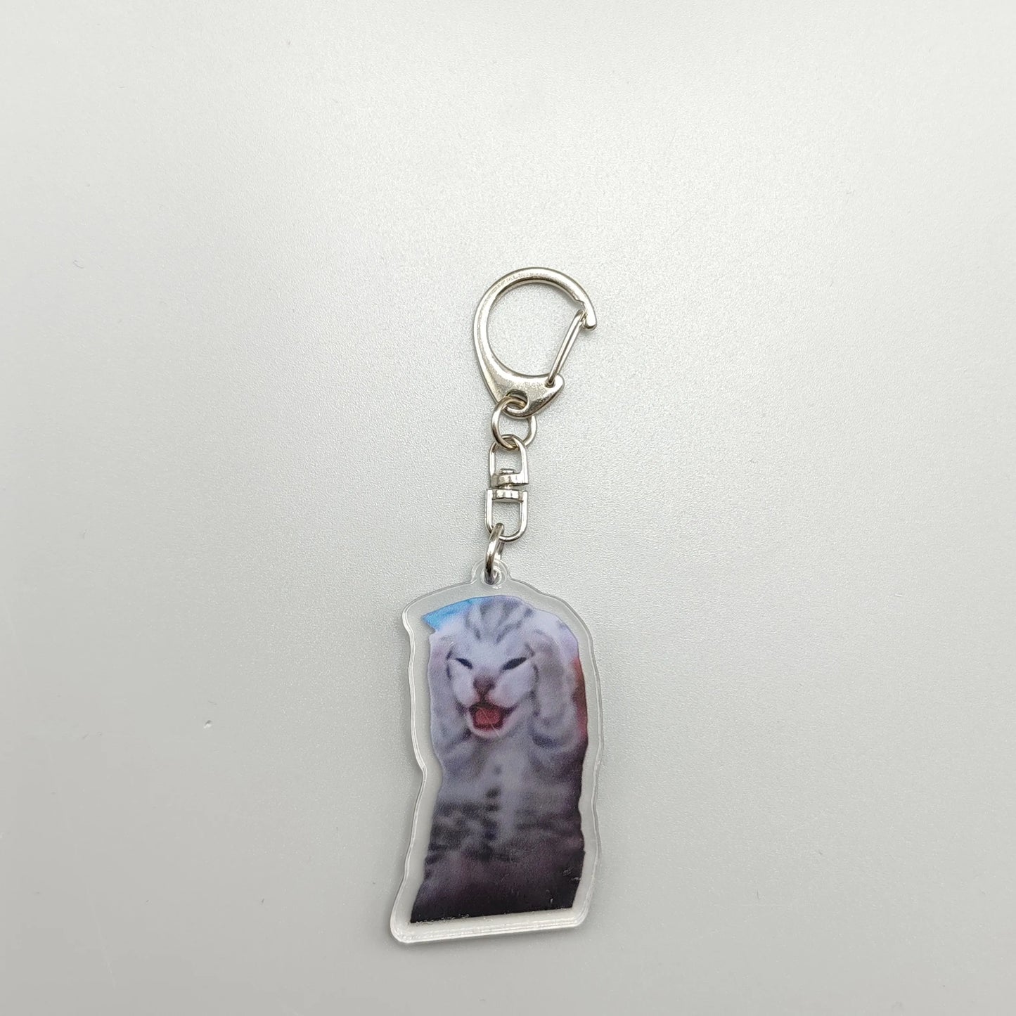 Funny Cat Meme Keychain – Hilarious and Unique Gift for Cat Lovers